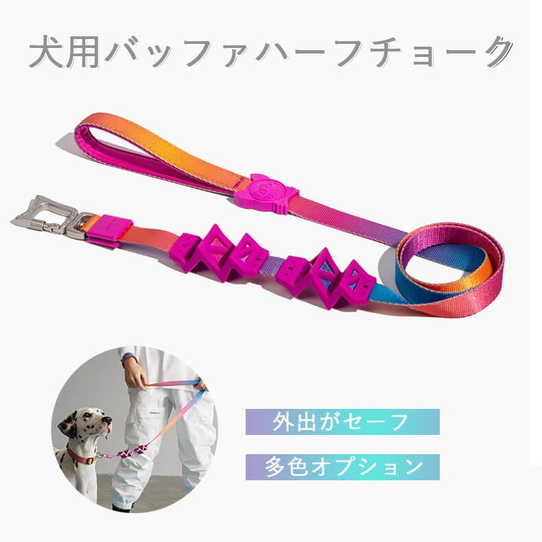 2cm X10m 廻し者の先立つ 唐人笛失費リード スマト 犬用バッファハーフチョーク 地震吸収テクニック 手持部分後図 バンド取り去る図 裏付錠 流れわたる 犬用 リード ペットエクィップメント 柔らかくて耐久持ち前がビューティフル 迷子差し止める 小型犬 中型犬 大型犬