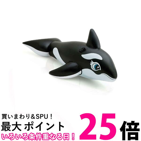 くじらさん専用 Amazon.co.jp: 4袋セット くじら＆Co.ビッグ トイザらス限定ver