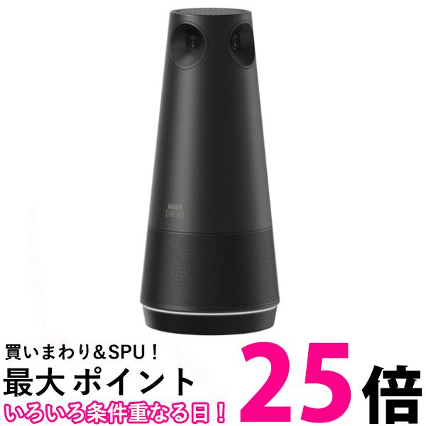 SOURCENEXT WEB写真機 KAIGIO CAM360【SS4549804986500】