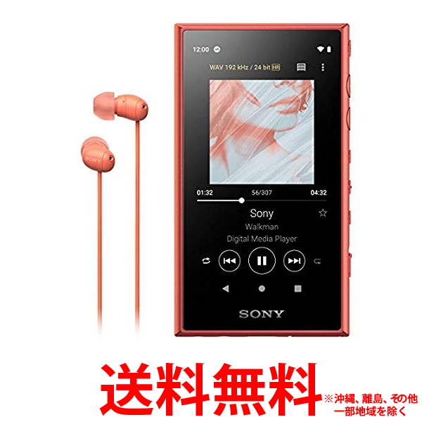 SONY ウォークマン Aシリーズ NW-A105HN(D) 【SS4548736103689】｜THINK RICH STORE