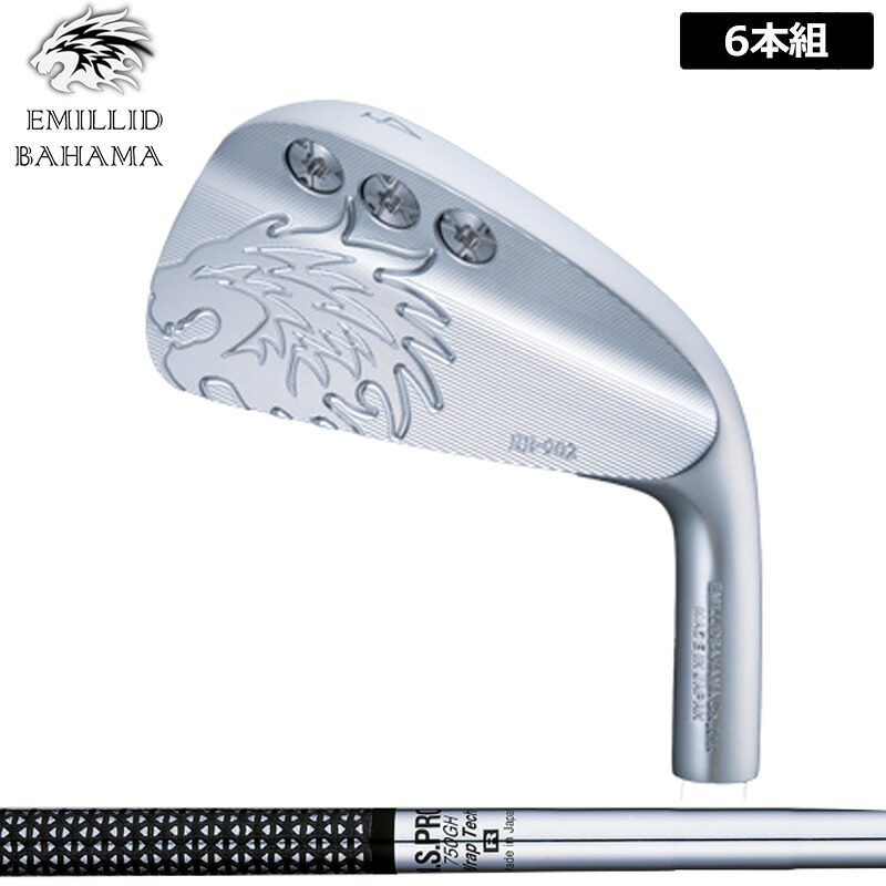 エミリッド バハマ EB-902 アイアン 6本組(#5-P) 日本立て坑 N.S.PRO 750GH 作り付ける NS スチール写真 【カスタム】【新品】 EMILLID BAHAMA 仕掛ける EB902 マッスル