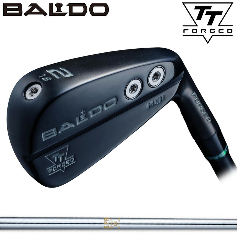 バルド TT ハイブリッド アイアン HDI ブラック 日本シャフト N.S.PRO 850GH 装着 NS スチール 【カスタム】【新品】 ドライビング BALDO HYBRID DRIVING IRON Black ゴルフ クラブ