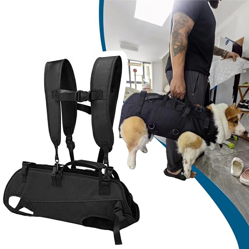 犬のリハビリテーション Amazon.co.jp: 後ろ足用犬 車椅子、大型犬用車椅子、犬用歩行器