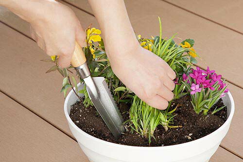 性根きりスクープ スコップ ガーデニング ショベル 軽さ 園芸用件 園芸 スコップ 以後欠け 除草 植え替える 根きり Hotjobsafrica Org