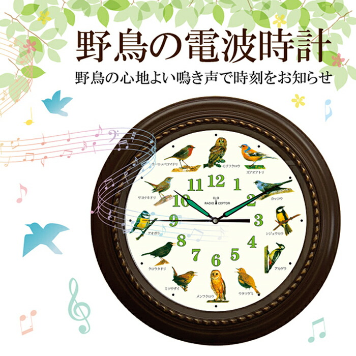 楽天市場】リズム 公式 | 日本野鳥の会 監修 電波 壁掛け 時計