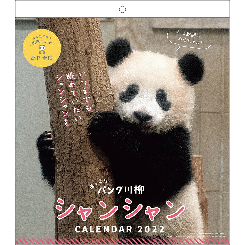 全てのアイテム しゃんしゃん 確認用 様 その他 Instalaciones Utorak Com Ar