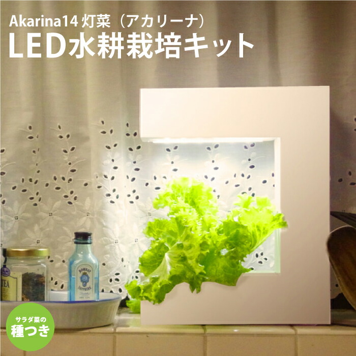 LED 水耕栽培キット 初心者さんも簡単 室内で家庭菜園 種子付 1年保証 MotoM Akarina14 灯菜 家庭菜園 屋内用ホワイト インテリア タイマー付き ハーブ 葉物野菜 プランター 培地スポンジ付 サラダ菜 光栽培