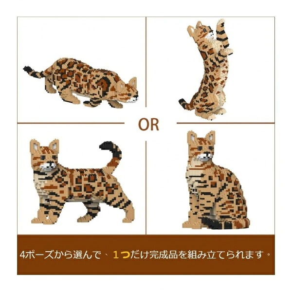 JEKCA FRIENDS ジェッカブロッグ ベンガル 4-in-1 BengalCats_M01|ペット用品の店ThreeB スリービー