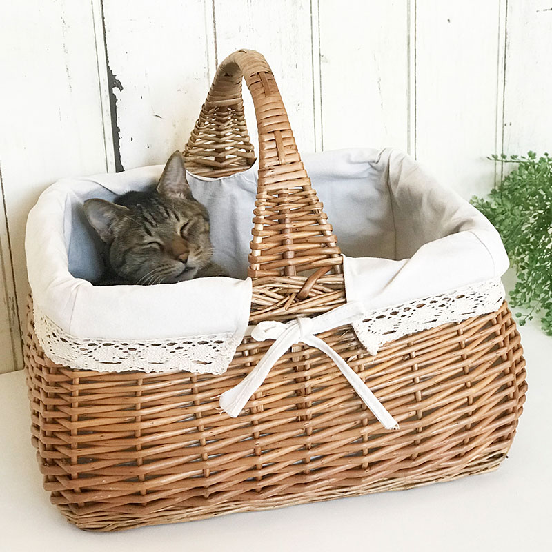 ピクニックバスケット かご バスケット かごバッグ 柳 ハンドメイド 天然素材 収納 ピクニック アウトドア ナチュラル 北欧 おしゃれ 内布張り 国産生地使用 Alltherightmovies Com