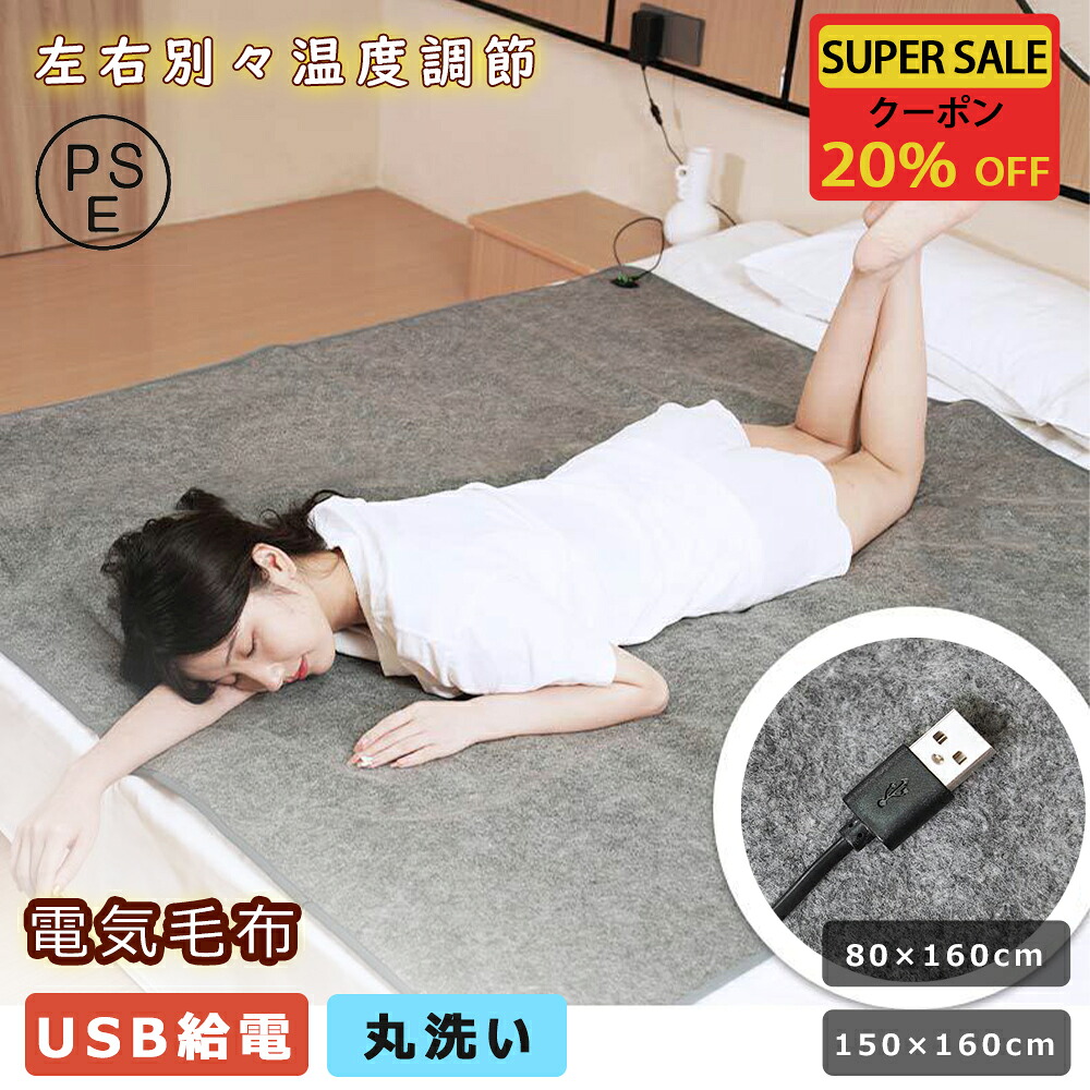 【1年保証★PSE】電気毛布 敷き USB給電 ダブルサイズ 左右 別々 温度調節 速暖 自動電源オフ 過熱保護 2サイズ 大判サイズ ふわふわ 肌触りがいい 寒さ対策グッズ シングル ダブル セミダブル 電気ブランケット 電気敷毛布 電熱毛布 洗える電気毛布 PSE