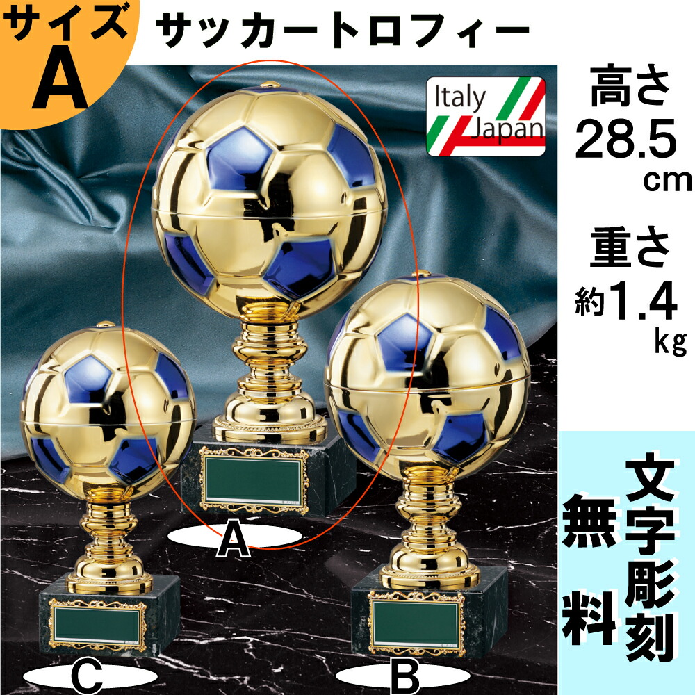 賞 Bt 2556a 物量さ28 5cm ワールドイーグル フートボールトロフィー レター要脚無料 送料無料 獲るマッグ 死に人だかり 卒 メモリー矜恃 フットサル サッカー サッカー Cannes Encheres Com