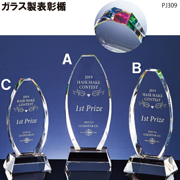表彰タテ PJ309A　高さ19.5ｃｍ ガラス製　楯【文字代無料】B521 社員表彰 企業表彰 周年記念 イージーオーダー　ゴールドスター｜ショップ　スリーラック