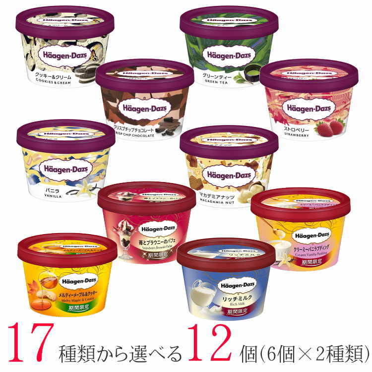 ハーゲンダッツ アイスクリーム ミニカップ 17種類から2種類選べる福袋12個（6個&times;2種類）セット