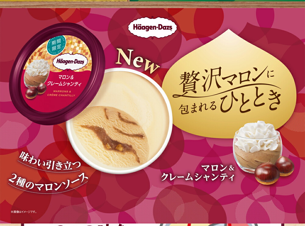 ハーゲンダッツ 新商品お試しセット ・悪魔のささやき・天使のお