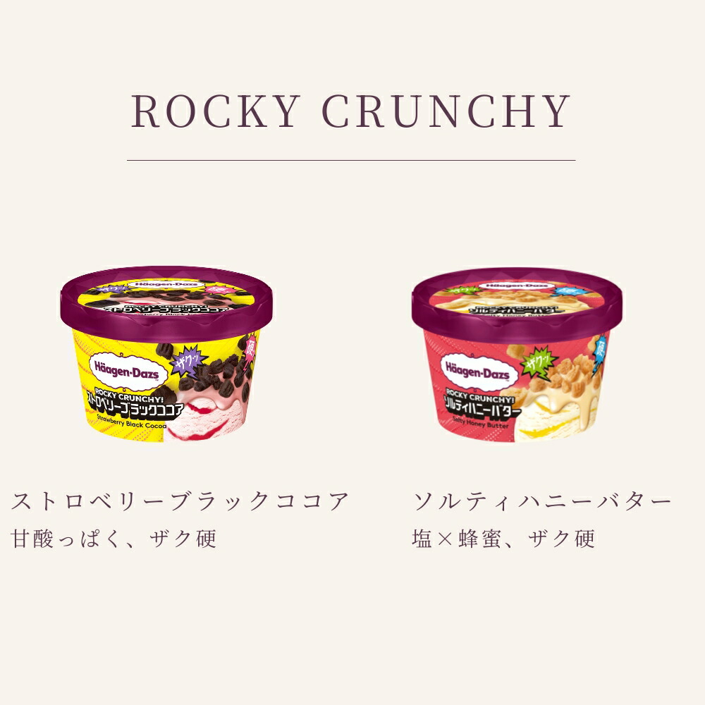 ハーゲンダッツ 2026 RELEASE SELECTION 02 新作6個セット