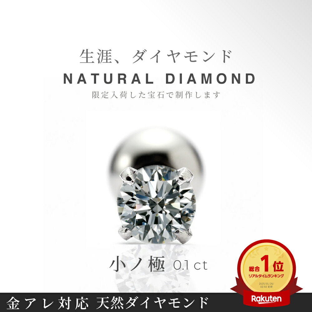 ≪わずかだけ受付再開≫【 小ノ極 予約受付 受注生産 】 白 天然 ダイヤモンド ボディピアス 0.1ct 一粒 つけっぱなし ピアス 16G 14G 立爪 金属アレルギー対応 軟骨ピアス セカンドピアス サージカルステンレス ボディーピアス メンズ レディース 高級 プレゼント 1個売り｜【公式】スリーナインストア