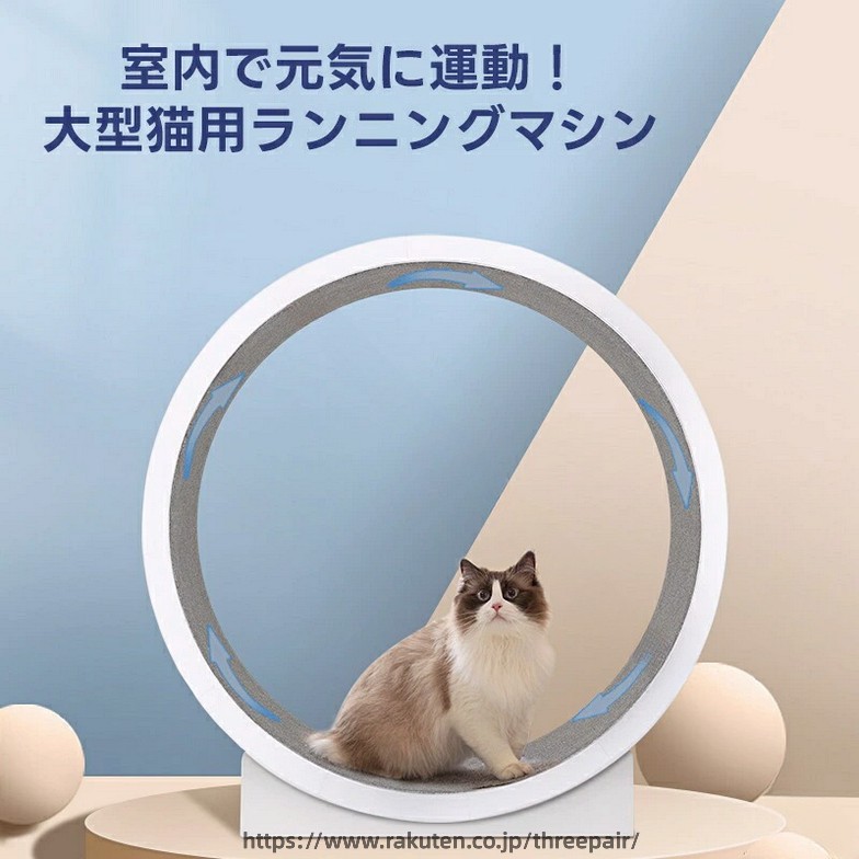 猫 運動すること不完全さ差し止める キャットホイール 静音腹積もり 剪断応力押し広める 爪研ぎ 愛玩動物用トレッドミル 食事制限 室内命のせんたく 猫用回し車 120糎大型 上滑り打ち切りつや消し キャットエクササイズ