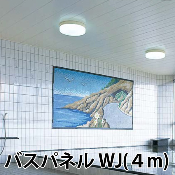 楽天市場 フクビ バスパネルwj ４ｍ 1枚 Fukuvi 浴室用天井 壁装材 バスパネル天井パネル Pvcバスパネル スライブストア