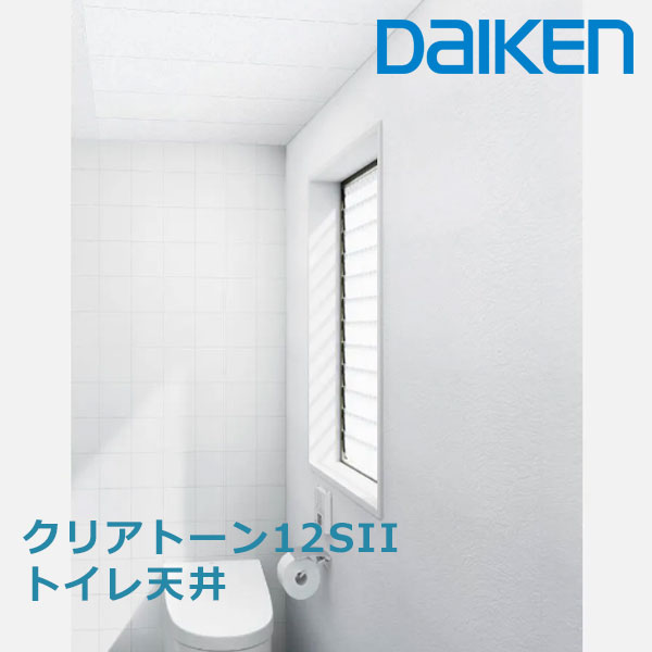 大建工業 ダイロートン天井材 クリアトーン12SII トイレ天井用 厚さ12mmx303x910mm(6枚入)