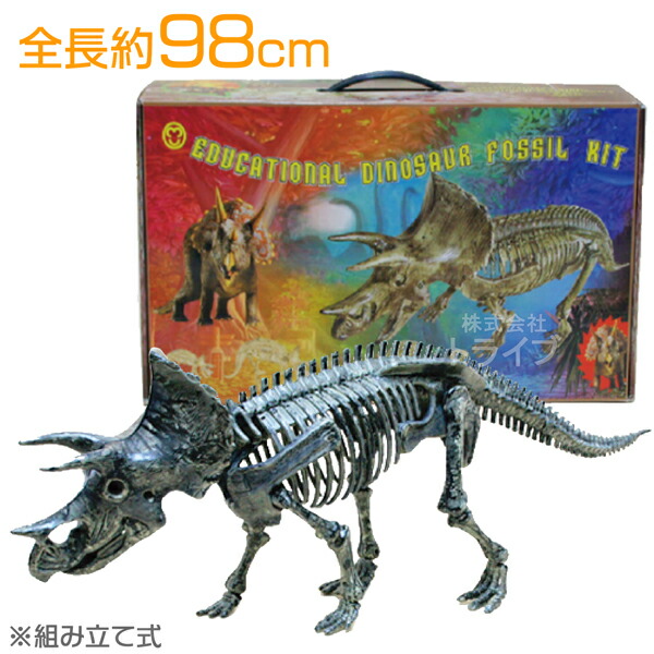 楽天市場】T-REX骨格組み立てキット : 3D・恐竜・おもちゃの