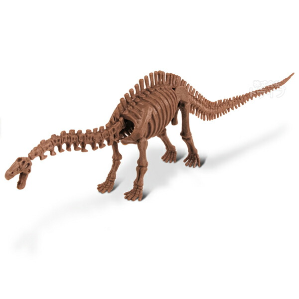 楽天市場】[特価50％OFF]恐竜発掘セット プテラノドン 骨格模型 CL