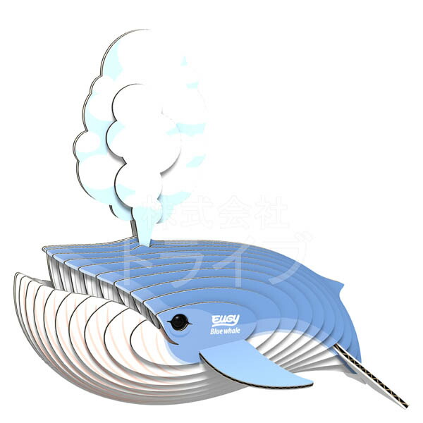 48種の海の生き物⭐︎大図鑑　ギフト　プレゼント　ジンベイザメ　シャチ　くじら 67937_1.jpg