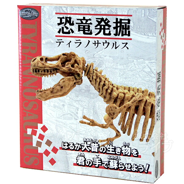 楽天市場】恐竜発掘 キット アーケオプテリクス 801589