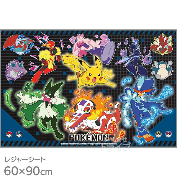 ポケモン WCS セット　おまけ レジャーシート ポケモンwcs2023 横浜 当選者限定 レジャーシート 2枚セット