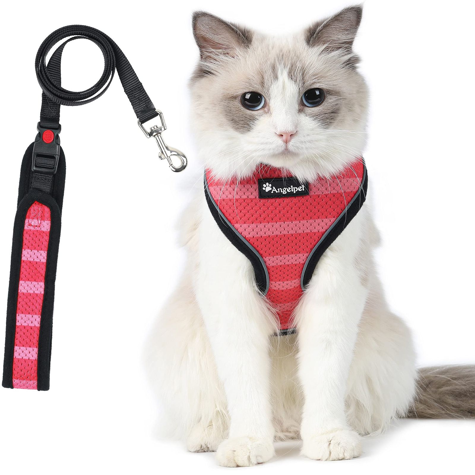 楽天市場】猫 猫用 ハーネス 胴輪 猫具 ねこ ネコ 子猫 子犬