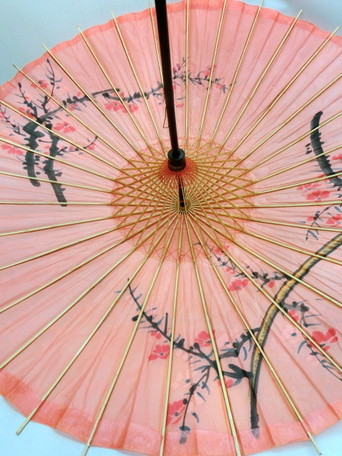 Thumbs-up | 日本乐天市场: 供伞女士雨伞长伞和