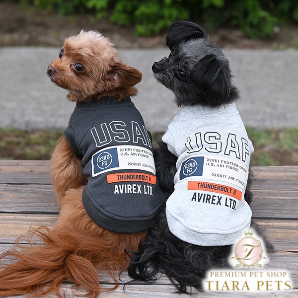 楽天市場】【1日はポイント3倍!!&各種クーポン発行中