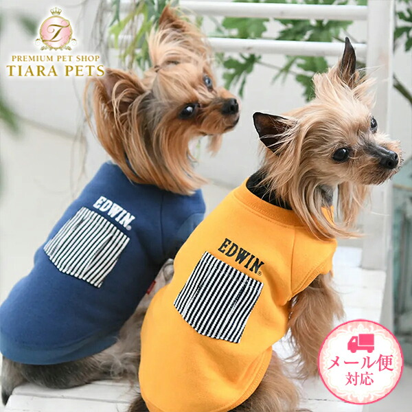 TEO I'M COOL【新品貴重】あたたかダウン♡イタリア製☆テオアイムクール 楽天市場】【ワンダフルデーポイント2倍&各種クーポン発行中