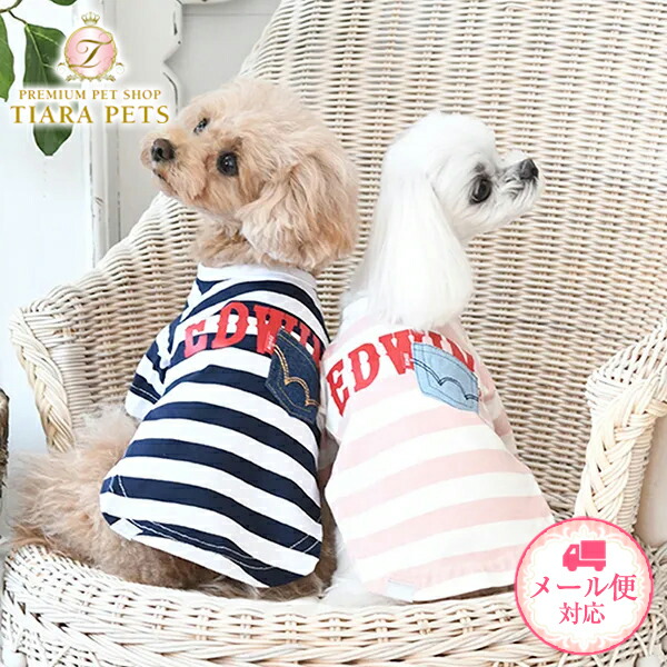 楽天市場】ALPHAICON アルファアイコン ドッグウェア Lサイズ＜DRY