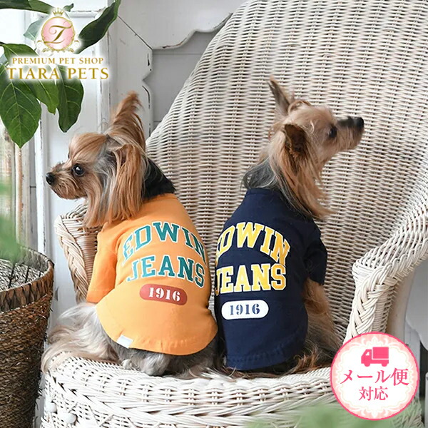 楽天市場】ALPHAICON アルファアイコン ドッグウェア Lサイズ＜DRY