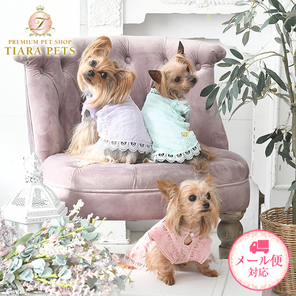 楽天市場】ロペピクニック ROPE PICNIC プリーツ ジャンパースカート【小型犬 犬服 ウエア ワンピース ドレス セレブ】 : TIARA  PETS