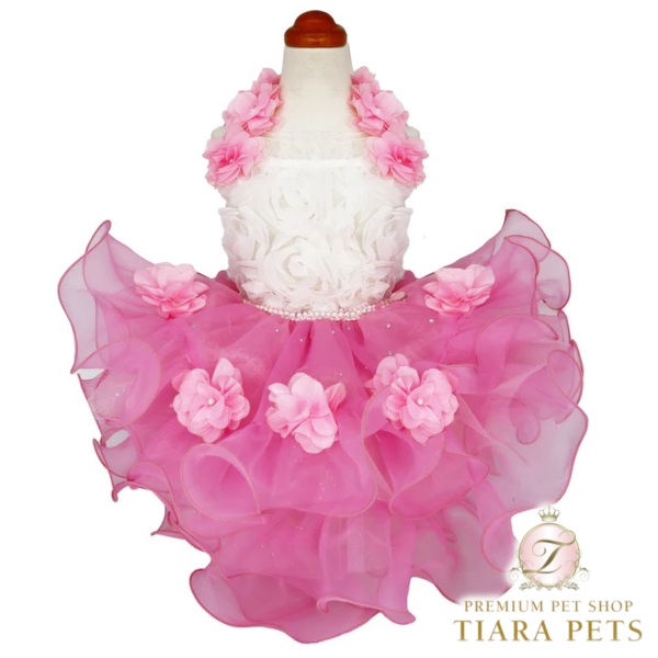 luxebirdie リュクスバーディ プリシラワンピース ピンク Lサイズ SALE50%OFF】プリシラワンピース – Luxebirdie