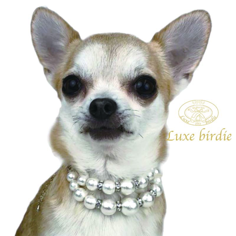 リュクスバーディ Luxe Birdie コットンパールネックレス 小型犬 セレブ アクセサリー 犬用品 ネックレス 送料無料 Sermus Es