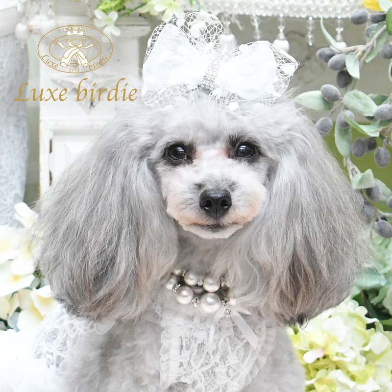 リュクスバーディ Luxe Birdie コットンパールネックレス 小型犬 セレブ アクセサリー 犬用品 ネックレス 送料無料 Sermus Es