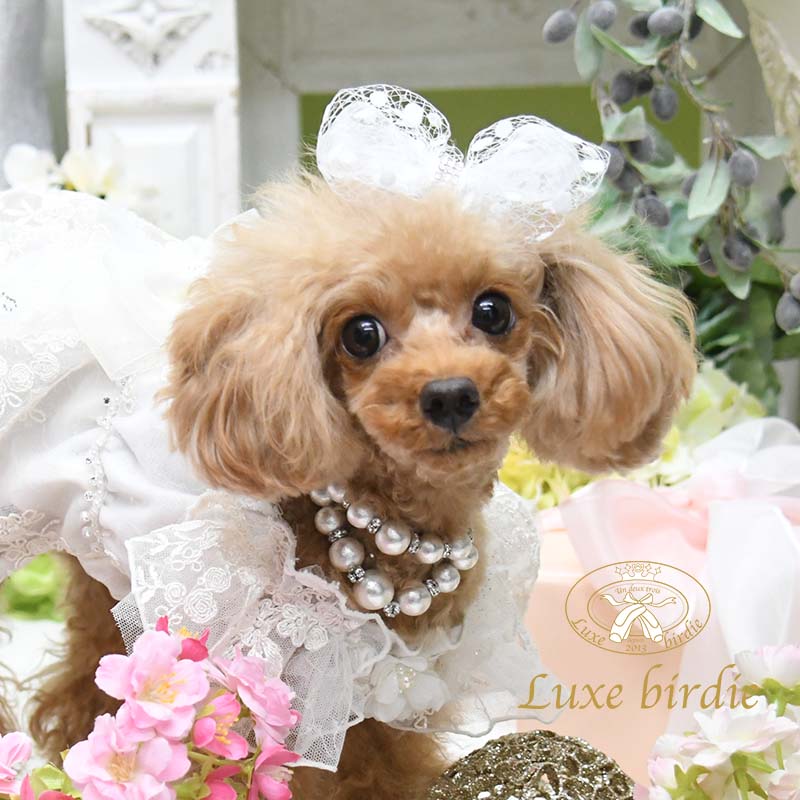 リュクスバーディ Luxe Birdie コットンパールネックレス 小型犬 セレブ アクセサリー 犬用品 ネックレス 送料無料 Sermus Es