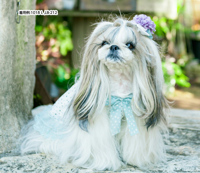 市場 きゃんナナ ワンタッチアクセ 小型犬 LB-212 CanNana アクセサリー