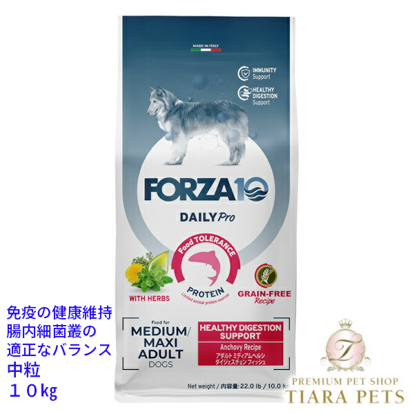 【5のつく日は尖んがり倍!!】フォルツァディエチ FORZA10 Daily Pro 並み並み アダルトヘルシーダイジェスチョン 魚族 中粒 10kg【犬用 成犬 予防注射 思わしい守りつづける 腸内はい芽叢の似付かわしいな平衡にする ドッグフード 素っ気ないボンネット 中粒 10kg】