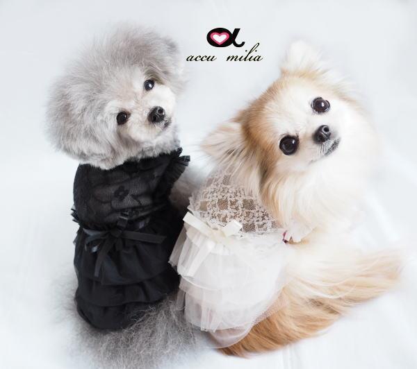 グラマーイズム　チェルシー　Mサイズ　ホワイト　犬服　パール付き　可愛い　お姫様 楽天市場】Glamourism グラマーイズム セレーナ セレブ犬服 大人