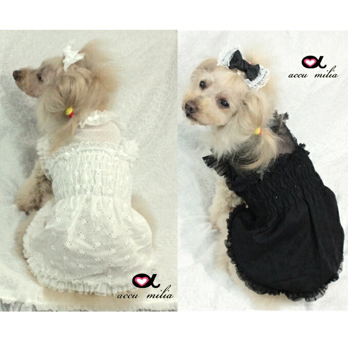 楽天市場 アキュミリア Accu Milia コットンシャーリングワンピ Xs Ss S 小型犬 犬服 ウエア ワンピース ドレス セレブ Tiara Pets
