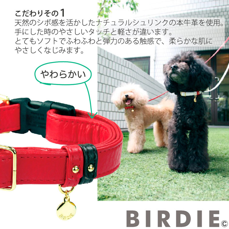 在庫限り 楽天市場 バーディ Birdie ジェントルidカラー S 小型犬 ペット 首輪 カラー 迷子防止 カジュアル Tiara Pets 好評 Www Lexusoman Com