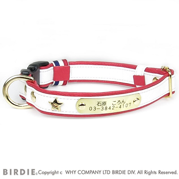 最高 Birdie バーディ スターソフトレザーidカラー S 小型犬 カジュアル カラー 首輪 ペット 犬用 S Adrm Com Br