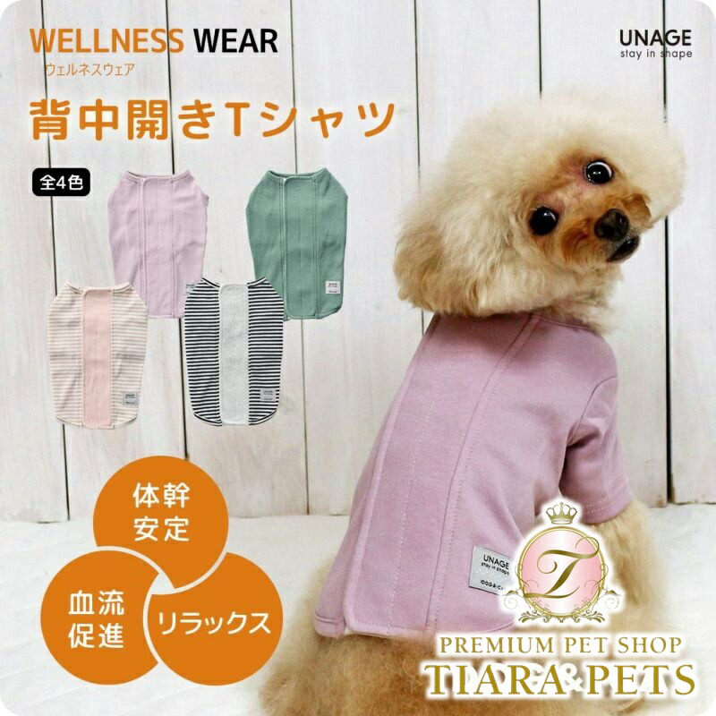 川上桃子 のROOM - 欲しい! に出会える。