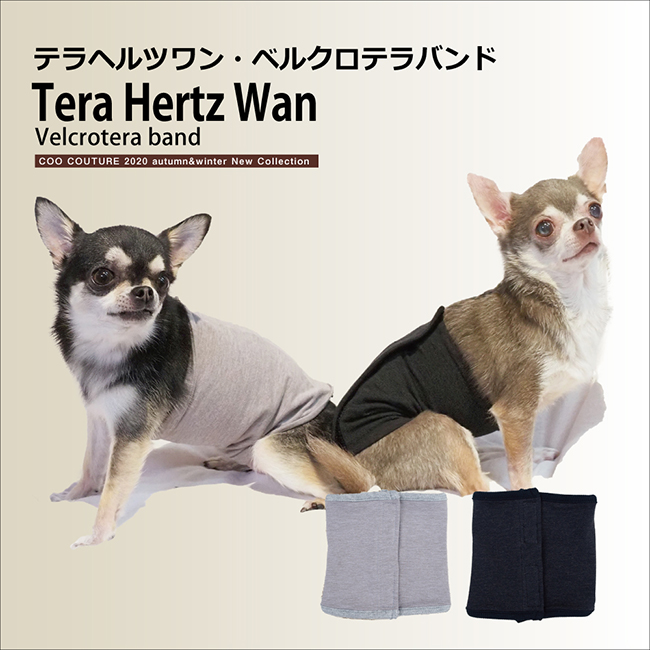 楽天市場 クークチュール Coo Couture テラヘルツワン ベルクロテラバンド 小型犬 ペット 腹巻 はらまき カジュアル 送料無料 Tiara Pets