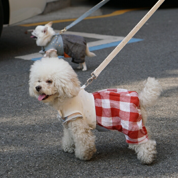 ルイスドッグ Louisdog Pumpkin Playsuit イエローネイビー 小型犬 犬服 ウエア ロンパース パンツ Purplehouse Co Uk