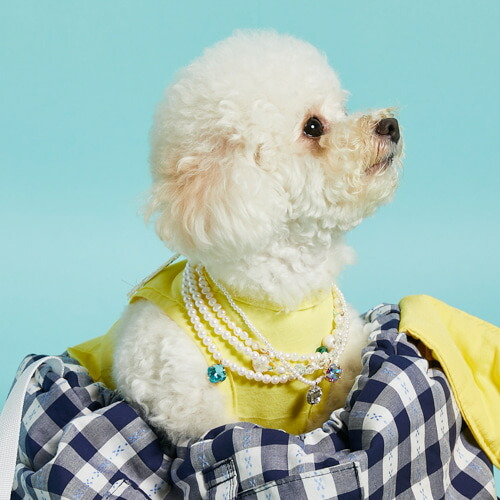 ルイスドッグlouisdogBeachyVibes/ForDog(WhiteSand)【小型犬セレブアクセサリーネックレスチョーカー】