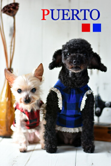 PUERTO(プエルト)ブロックレースガーデン(3h/4)【小型犬犬服ウエアトップスTシャツカットソーセレブ/送料無料】